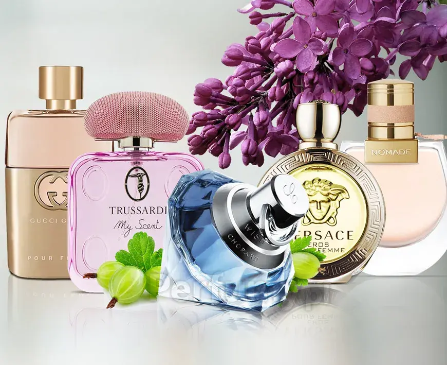 Gdzie kupić perfumy bez i agrest? Sprawdź najlepsze oferty