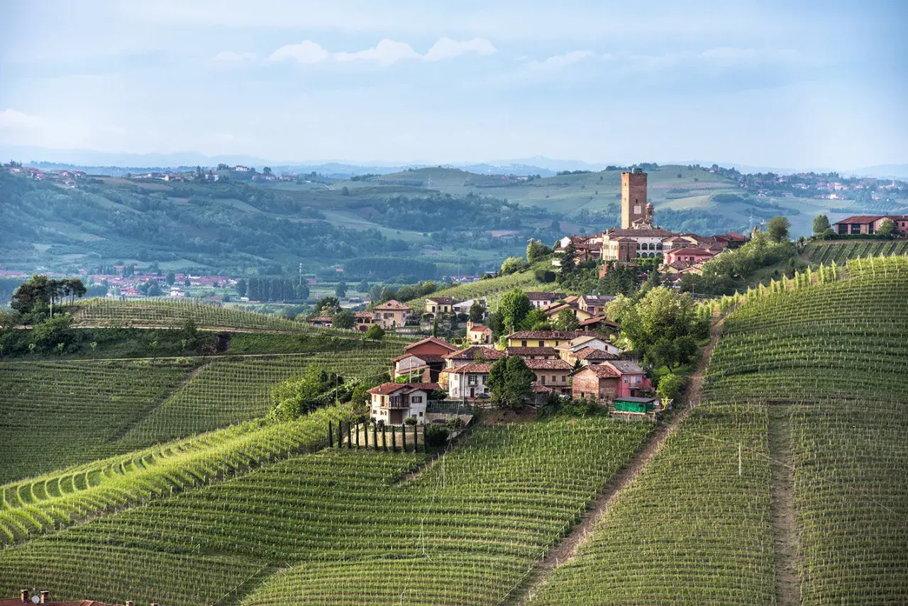 Weinberge umgeben das malerische Dorf Barbaresco in Italien. Ein hoher Turm ragt über die Dächer.
