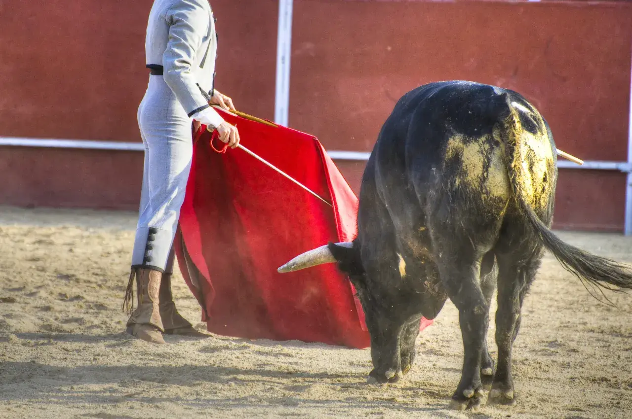 Un torero con traje de luces y capote rojo se enfrenta a un toro negro en la arena. La cuadrilla de toreros se prepara para el siguiente lance.