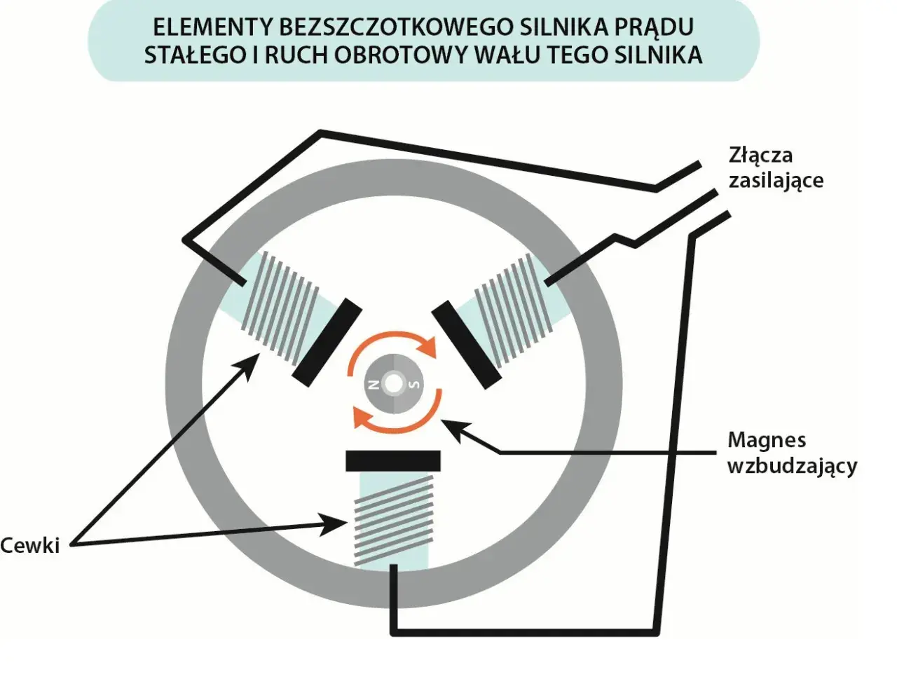 Schemat bezszczotkowego silnika prądu stałego: cewki, magnes wzbudzający i złącza zasilające tworzą mechanizm obrotowy.