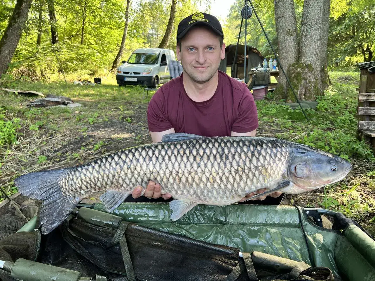 Wędkarz trzyma dużego amura na tle lasu i białego vana.