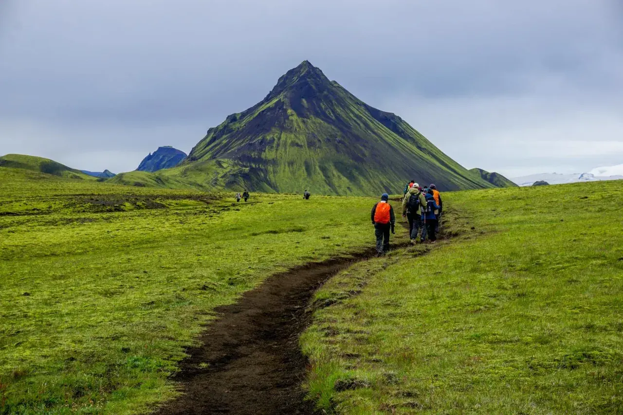 Grupa turystów wyrusza na islandia trekking ścieżką przez zielone, porośnięte mchem wzgórza, w tle majestatyczna góra.