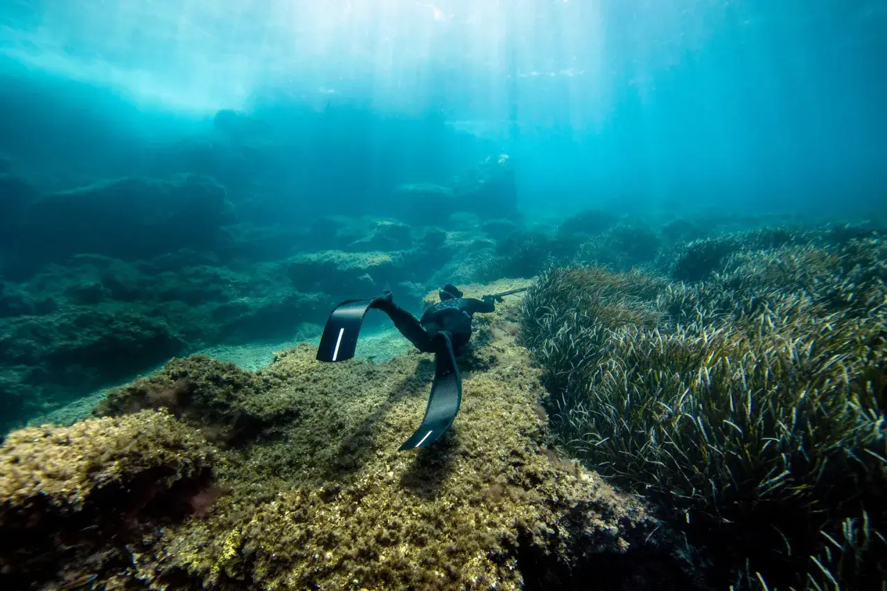 Nurkujący w czarnych płetwach, które świetnie nadają się do snorkelingu, eksploruje podwodny świat pełen skał i trawy morskiej.