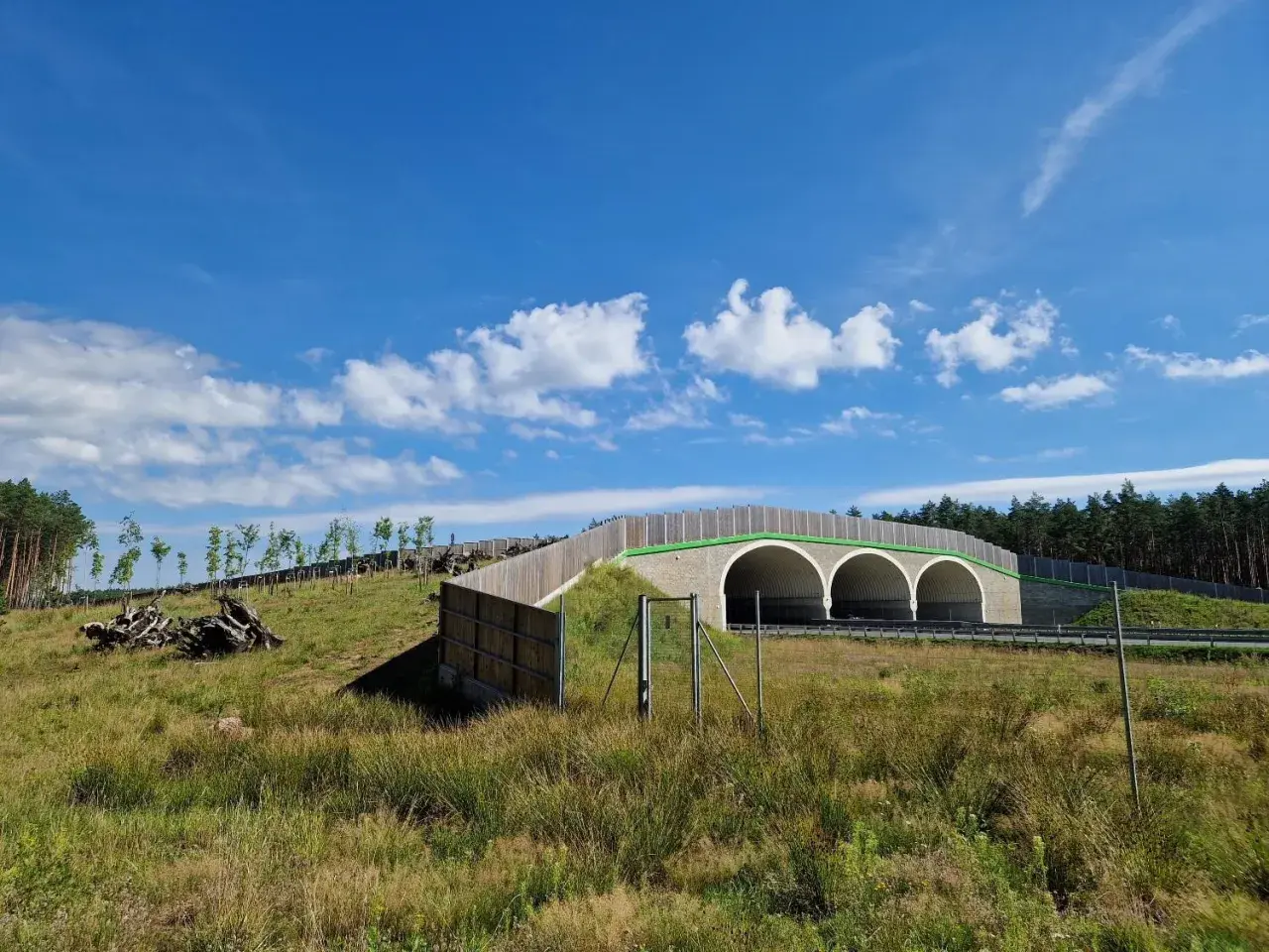 Zielony tunel ekologiczny nad drogą, który służy jako budynek inwentarski dla zwierząt.
