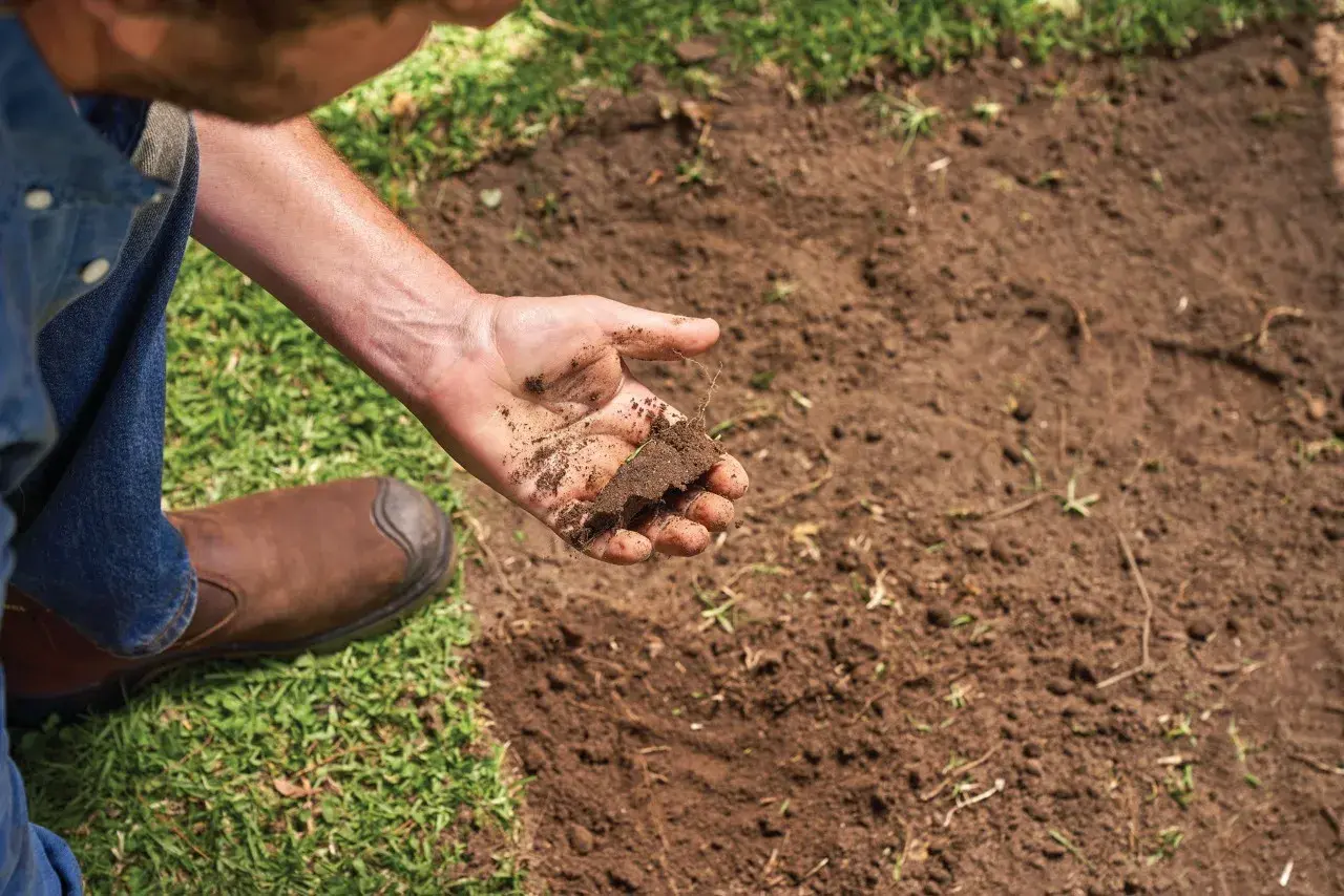 Mano examinando la textura del suelo barro, con un trozo de tierra y raíces.