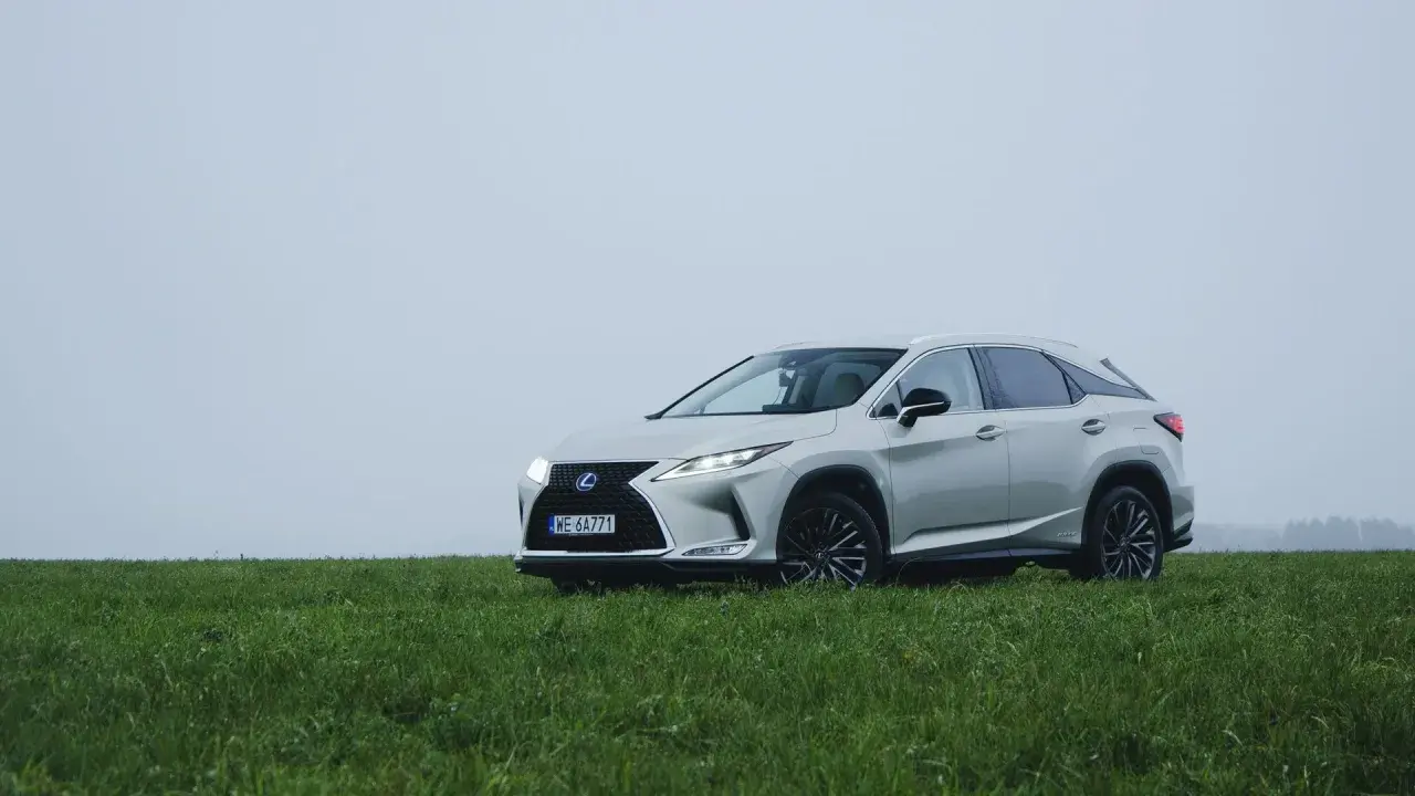 Srebrny Lexus RX 450h na tle zielonej łąki i mglistego nieba. Elegancki SUV gotowy na każdą podróż.