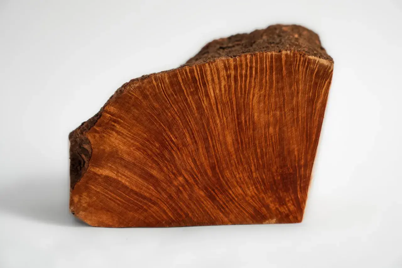Un pezzo di legno con venature ondulate e un colore caldo, che evoca il significato profondo della radica, simbolo di forza e resilienza.