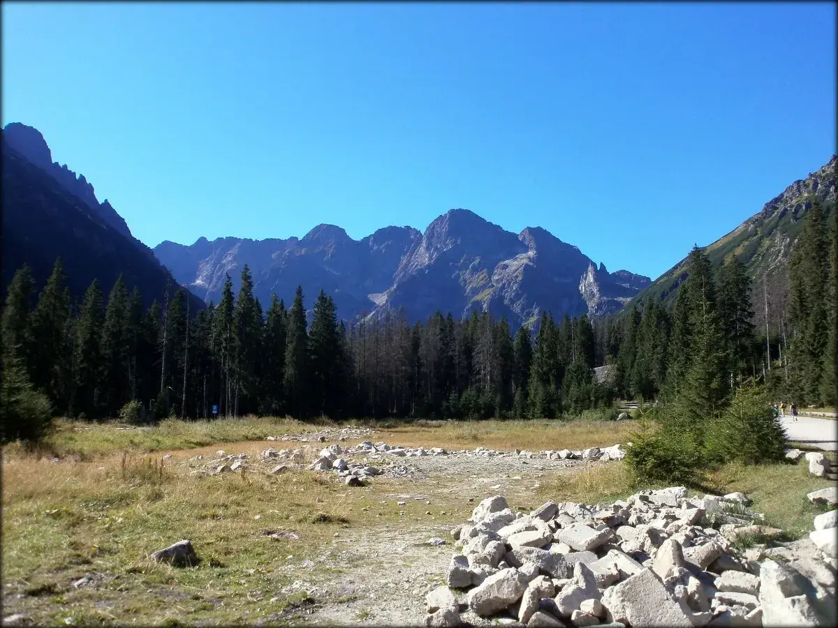 Widok na Tatry, szczyty Rysy 2499 czy 2503 w oddali, las i kamienista dolina.