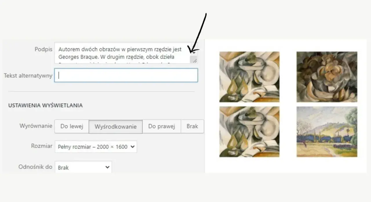 Obrazy w stylu kubistycznym, autorstwa Georges'a Braque'a. Wpisz tekst alternatywny dla dzieł.