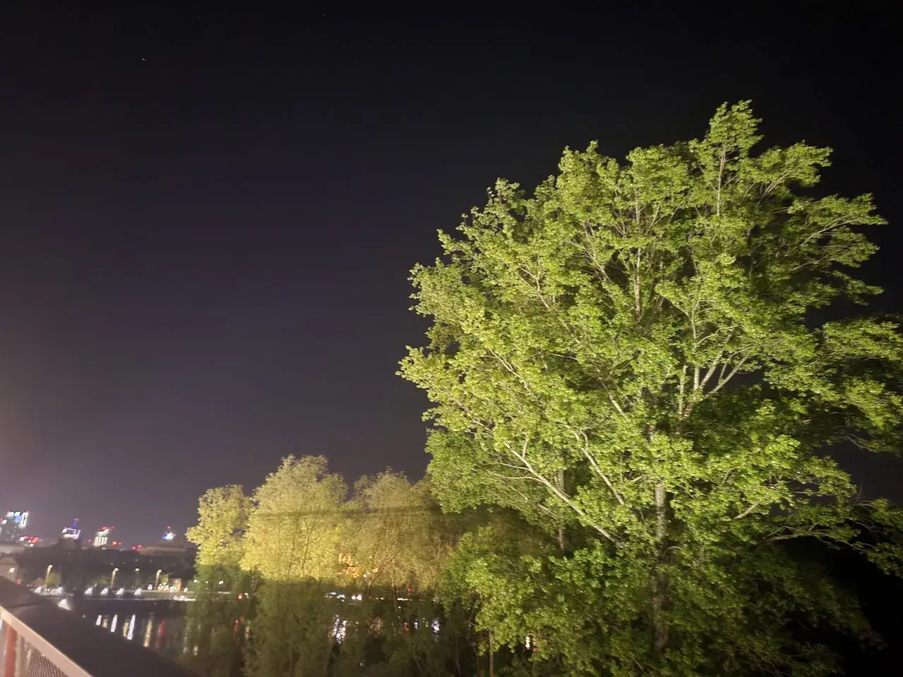 Jasna noc nad rzeką, drzewa oświetlone sztucznym światłem, ledwo widoczne gwiazdy. Zanieczyszczenie światłem przeszkadza w podziwianiu nocnego nieba.
