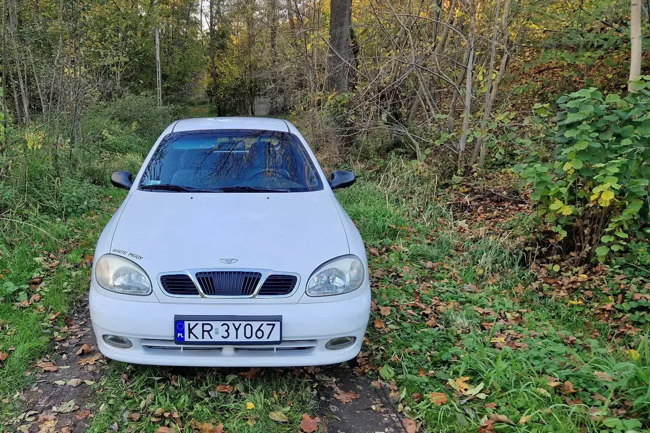 Białe Daewoo Lanos z napisem "WHITE PIGGY" na błotniku, zaparkowane na leśnej ścieżce wśród jesiennych liści.