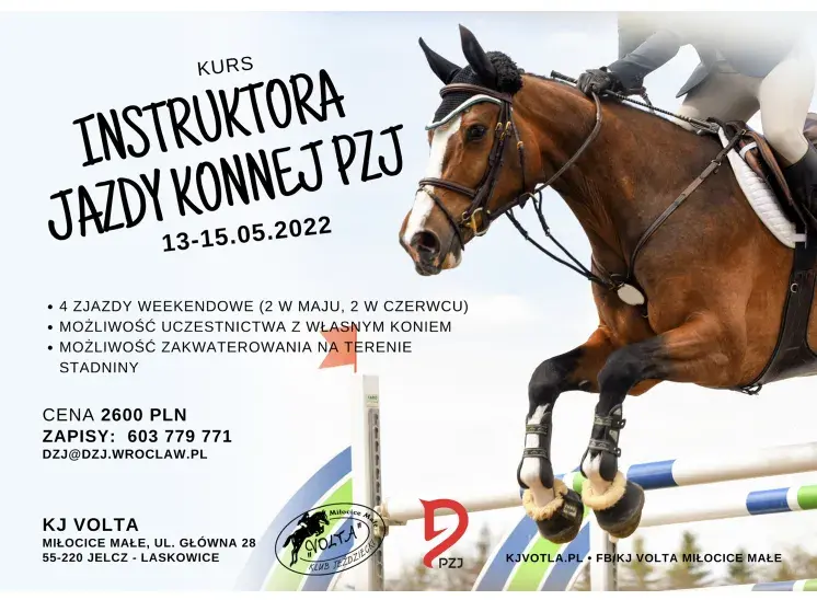 Kurs instruktora jeździectwa powszechnego PZJ - wymagania i koszty