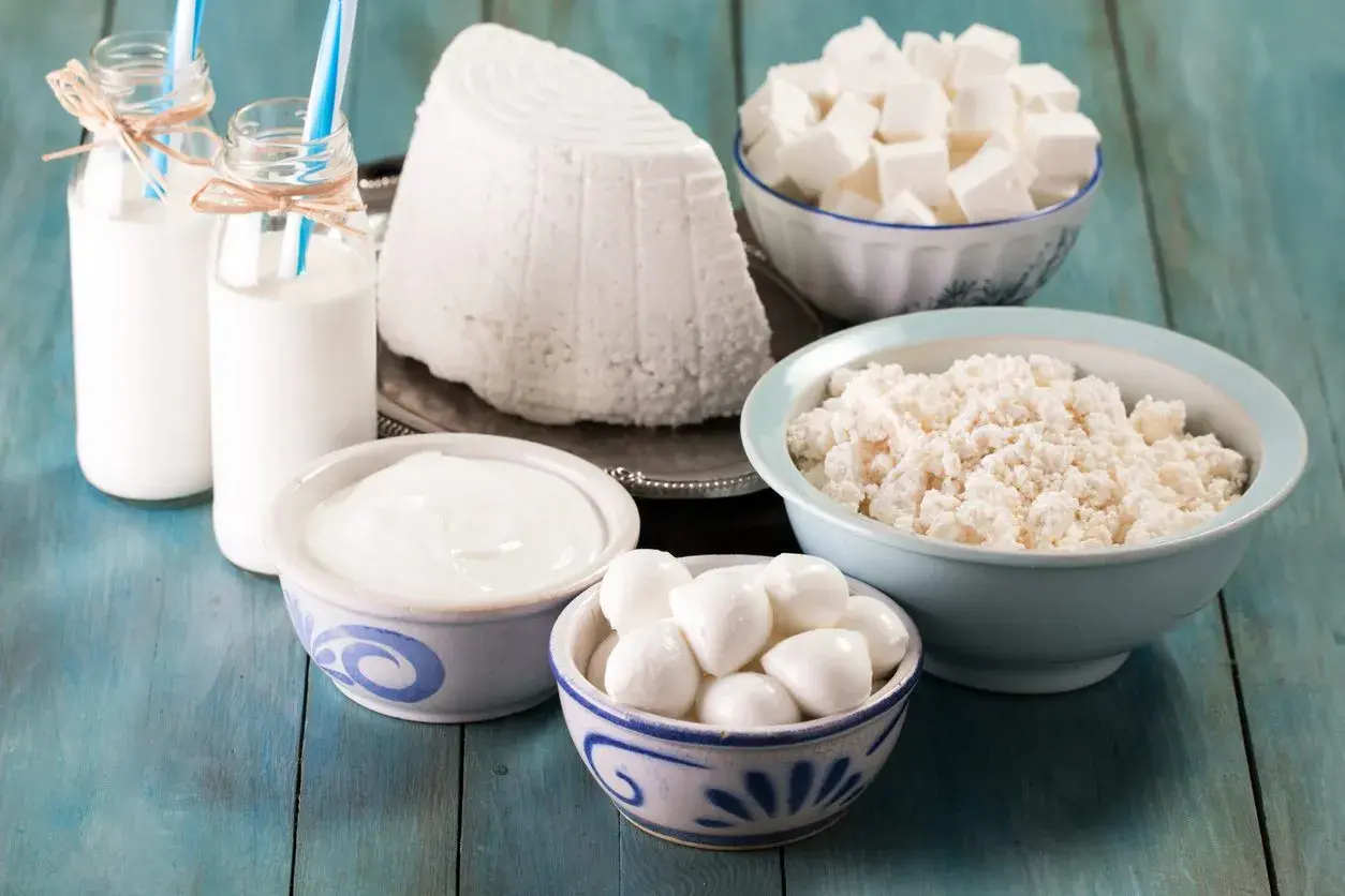 Varietà di latticini: latte, yogurt, ricotta, mozzarella, formaggio a cubetti. Il lattosio cos'è? È lo zucchero presente in questi alimenti.