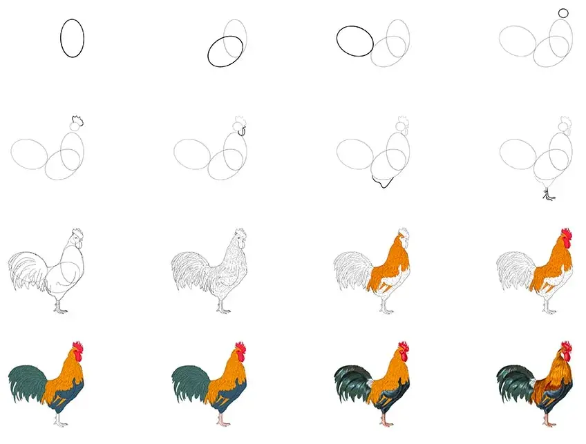 Huhn zeichnen lernen: Einfache Schritt-für-Schritt-Anleitung