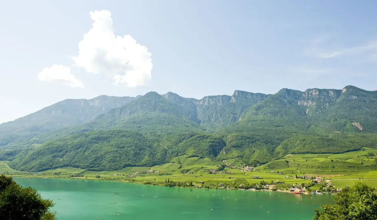 Türkiser Kalterer See mit grünen Weinbergen und Bergen im Hintergrund.