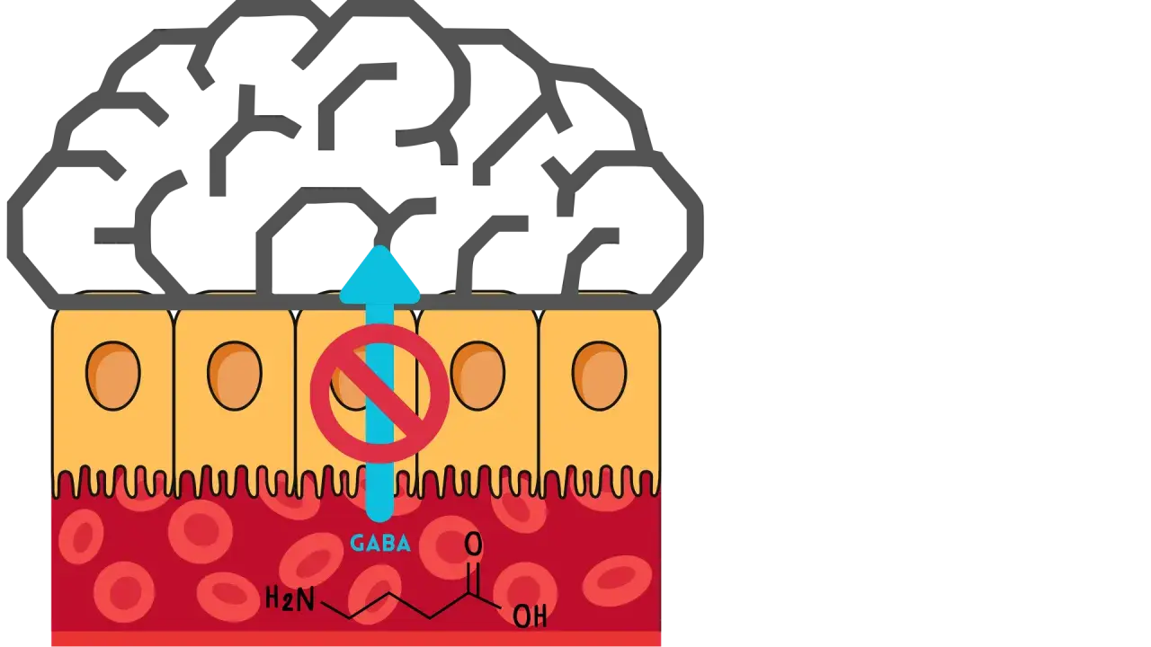 Gehirn über Darmzellen. GABA-Synthese wird durch ein rotes Verbotsschild blockiert, das den Aufwärtspfeil durchdringt.