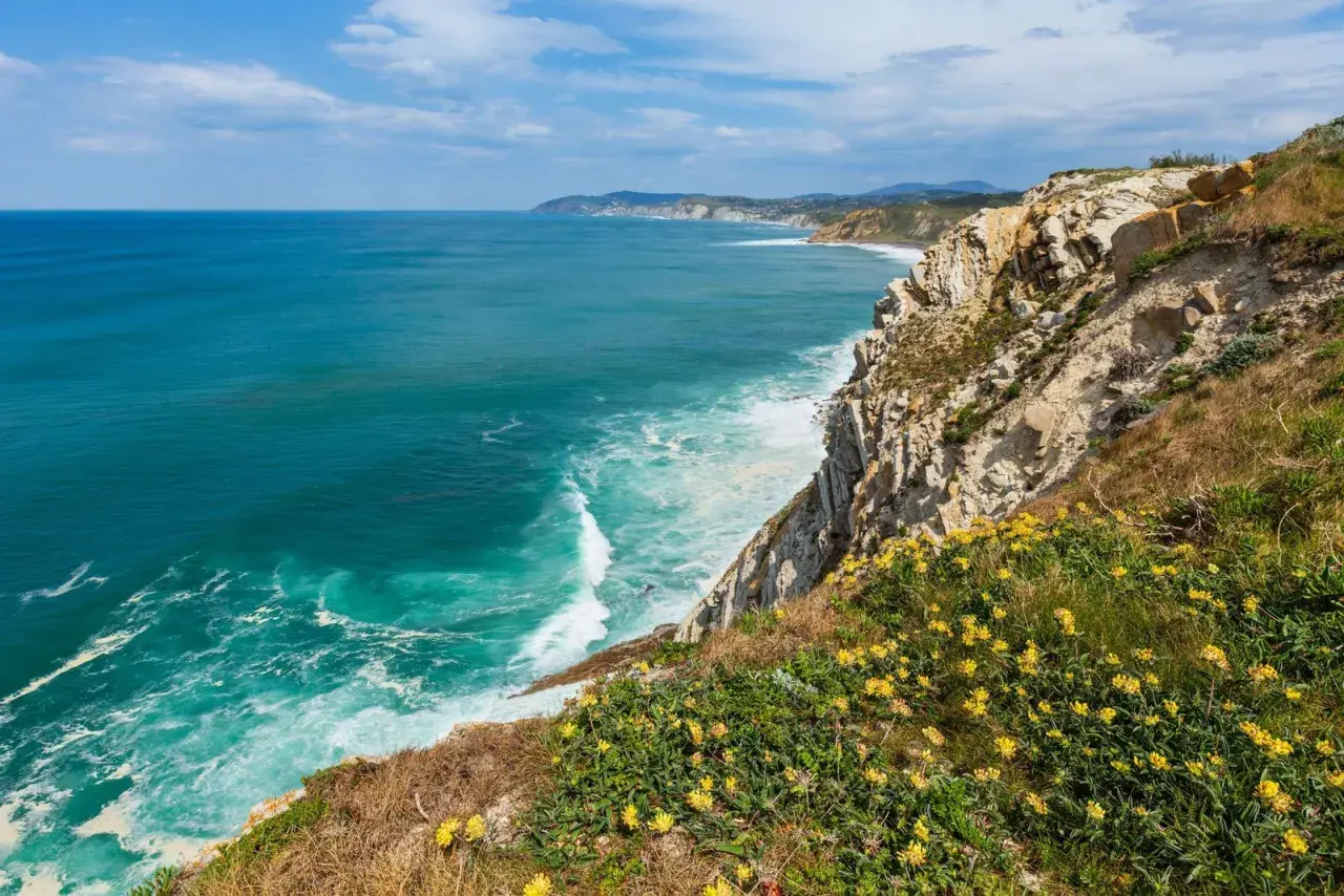 Acantilados con flores amarillas y mar turquesa. Un paisaje espectacular que invita a descubrir qué ver en Getxo.
