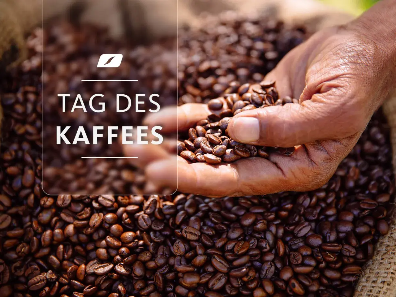 Eine Hand hält geröstete Kaffeebohnen vor einem Sack voller Bohnen. Der Text "TAG DES KAFFEES" ist überlagert.