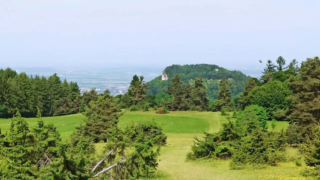 Grüne Wiesen und Nadelbäume umgeben ein Felsenmeer bei Albstadt. Im Hintergrund erstreckt sich eine Stadt unter einem blauen Himmel.