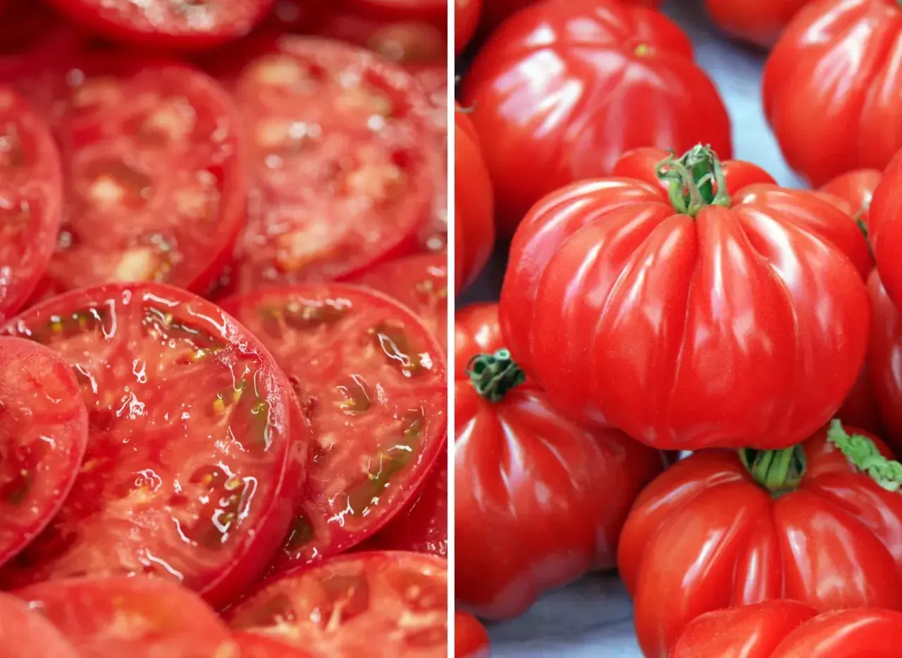 Plasterki soczystego pomidora marmande i całe, karbowane owoce. Idealne do sałatek i sosów.