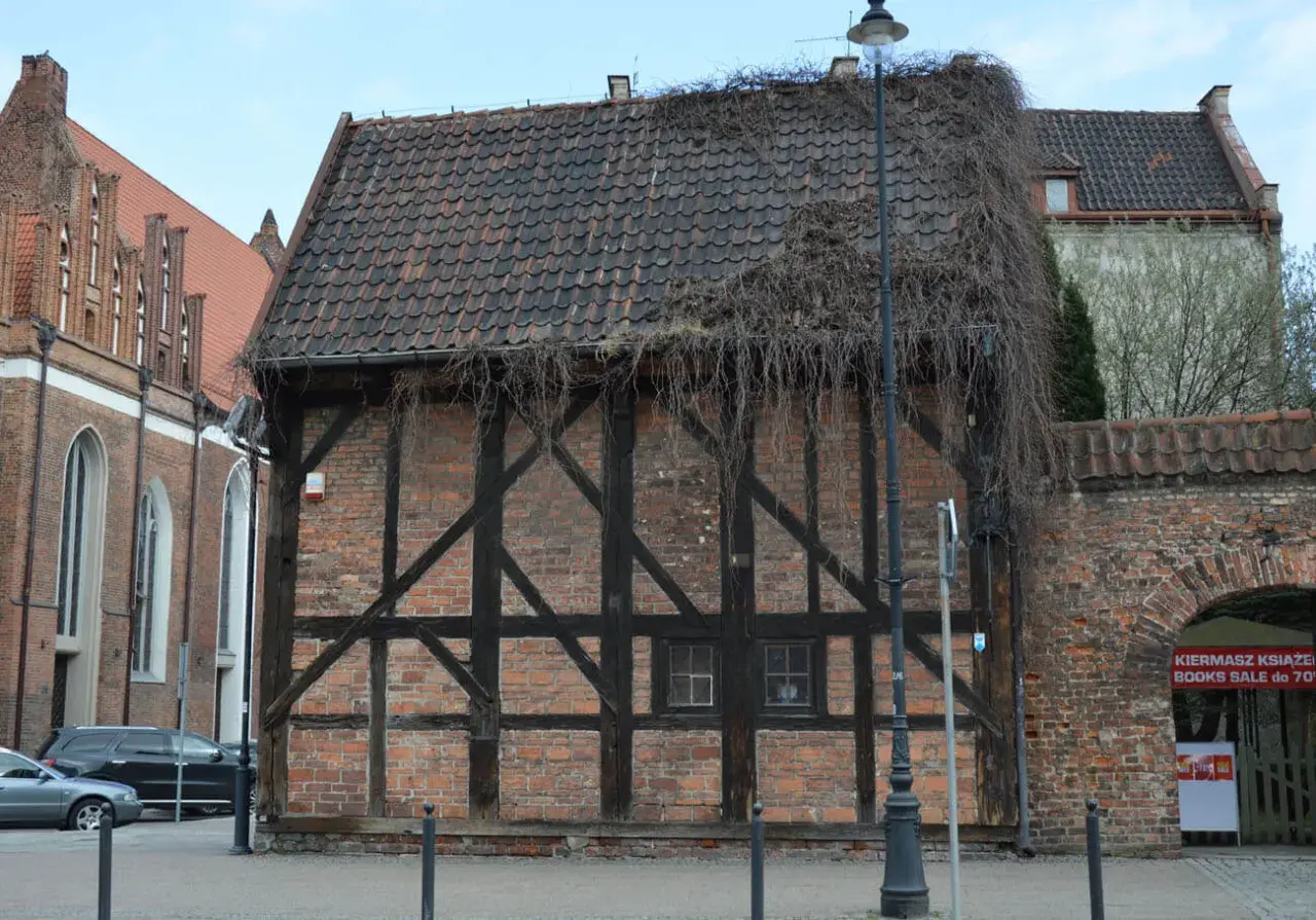 Stare kamienice w Gdańsku, z charakterystyczną cegłą i drewnianą konstrukcją, porośnięte bluszczem.