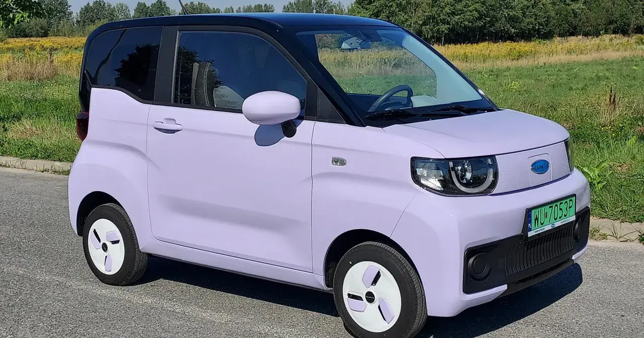 Uroczy, fioletowy chiński elektryk z czarnym dachem stoi na tle zielonej łąki.