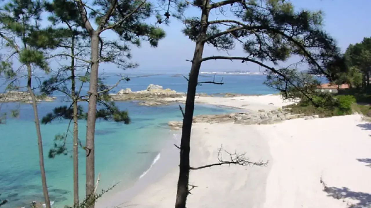 Árboles en primer plano enmarcan unas idílicas playas de Galicia con aguas turquesas y arena blanca.