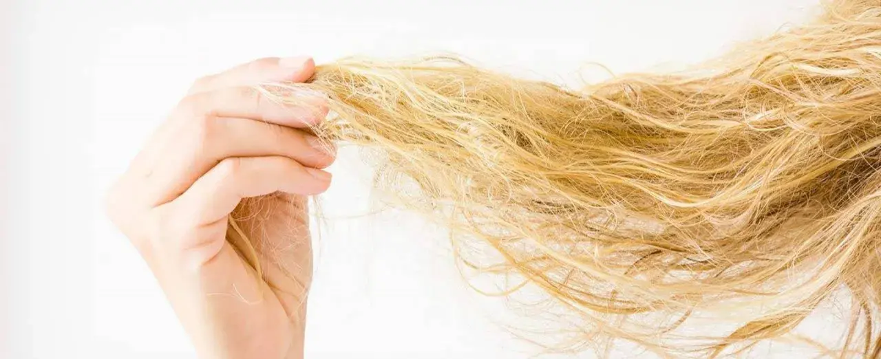 Dłoń trzyma pasmo blond włosów, które wyglądają na zniszczone i suche.