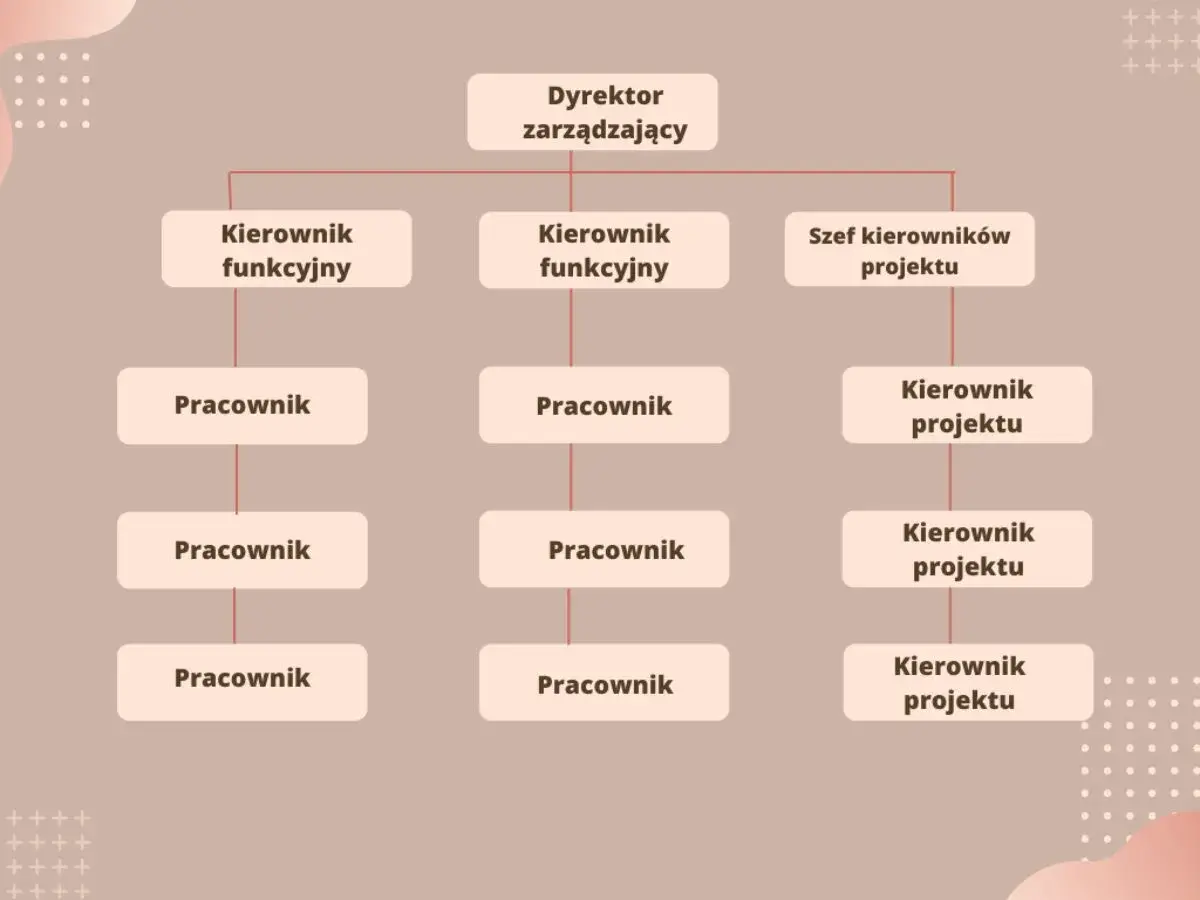 Schemat przedstawia strukturę organizacyjną firmy z dyrektorem zarządzającym na czele, pod którym znajdują się kierownicy funkcyjni i szef kierowników projektu, a poniżej pracownicy.