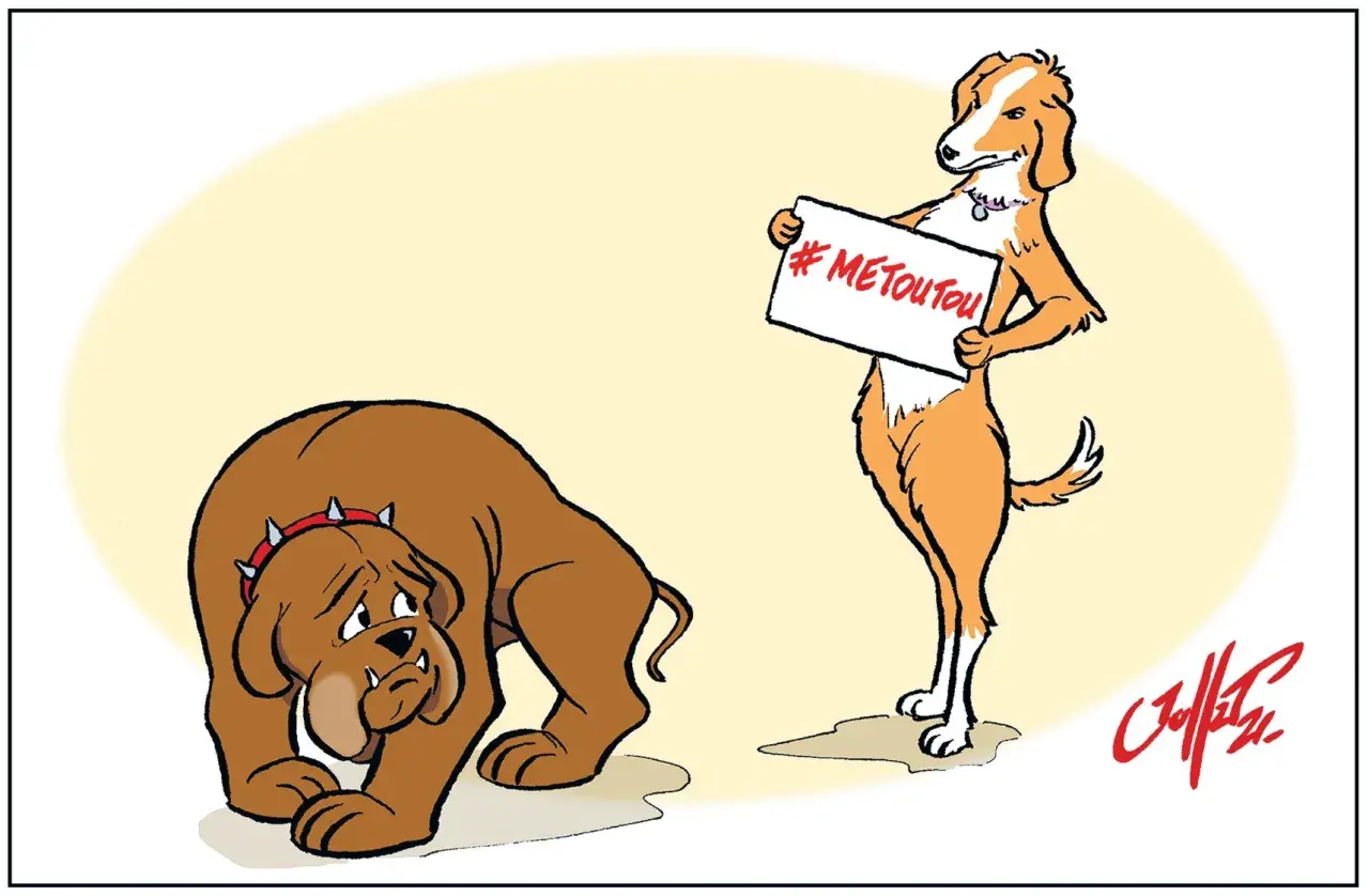 Un chien triste, peut-être en rut, regarde un autre chien tenant une pancarte "#METOUTOU". Une leçon sur comment calmer un chien en rute.