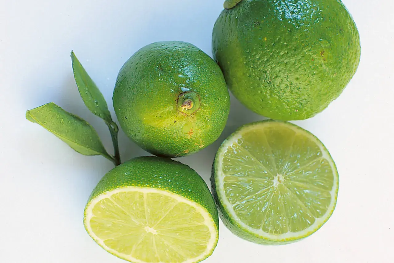 Frische Limetten, eine halbiert, bereit zum Einfrieren für Cocktails oder zum Kochen.