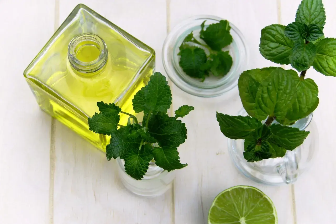 Aceite amarillo en botella, menta y lima, ingredientes para un enjuague bucal para llagas casero.