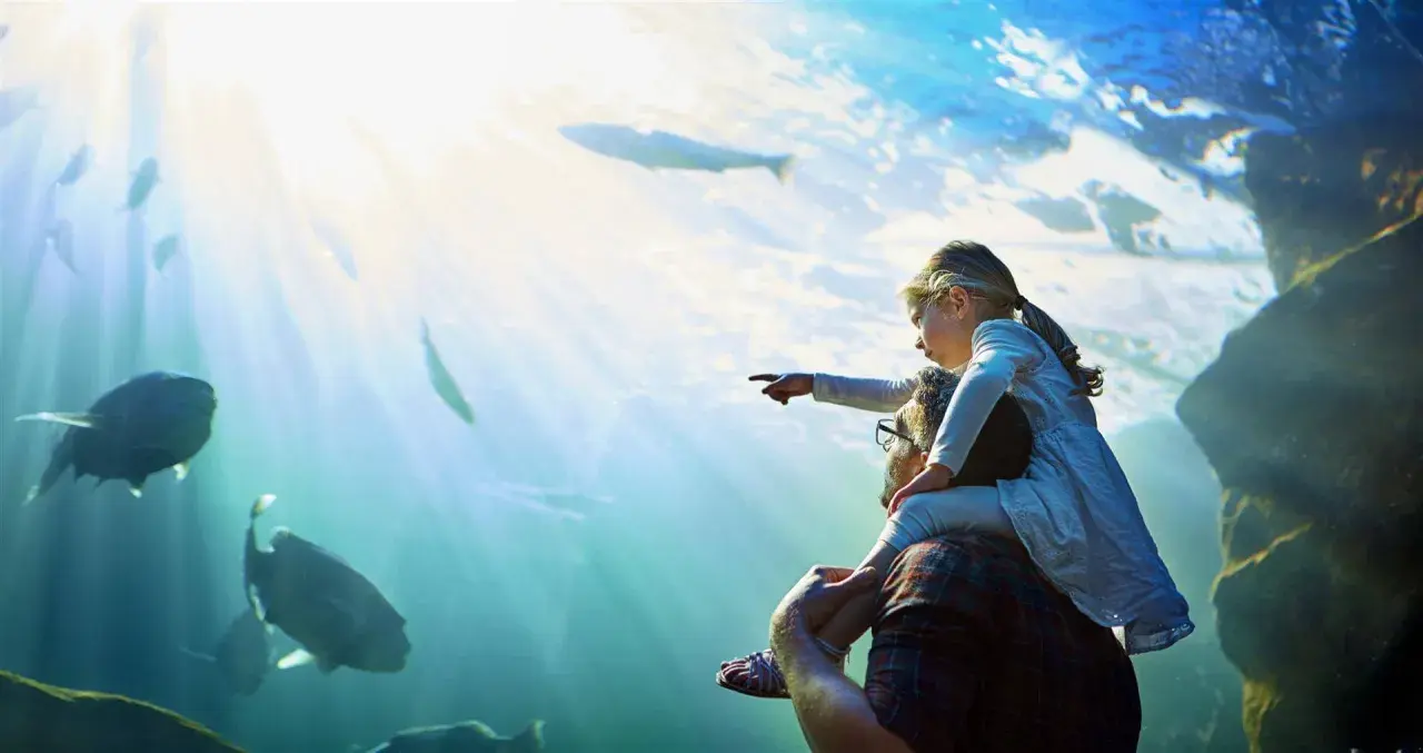 Oceanarium Berlin: Niezwykłe atrakcje i tajemnice nowego akwarium
