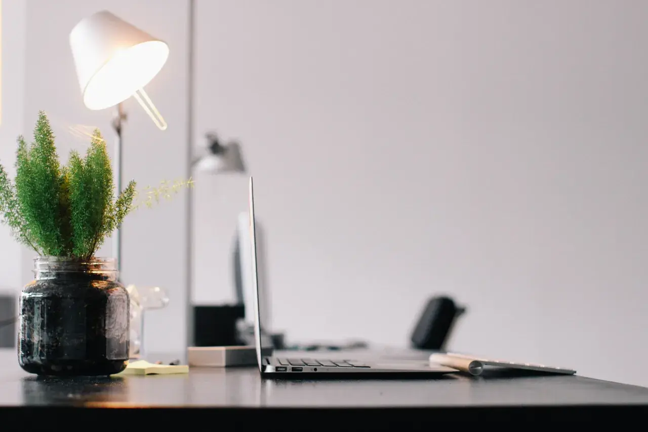 Escritorio con portátil, teclado y un flexo moderno iluminando una planta en un frasco.