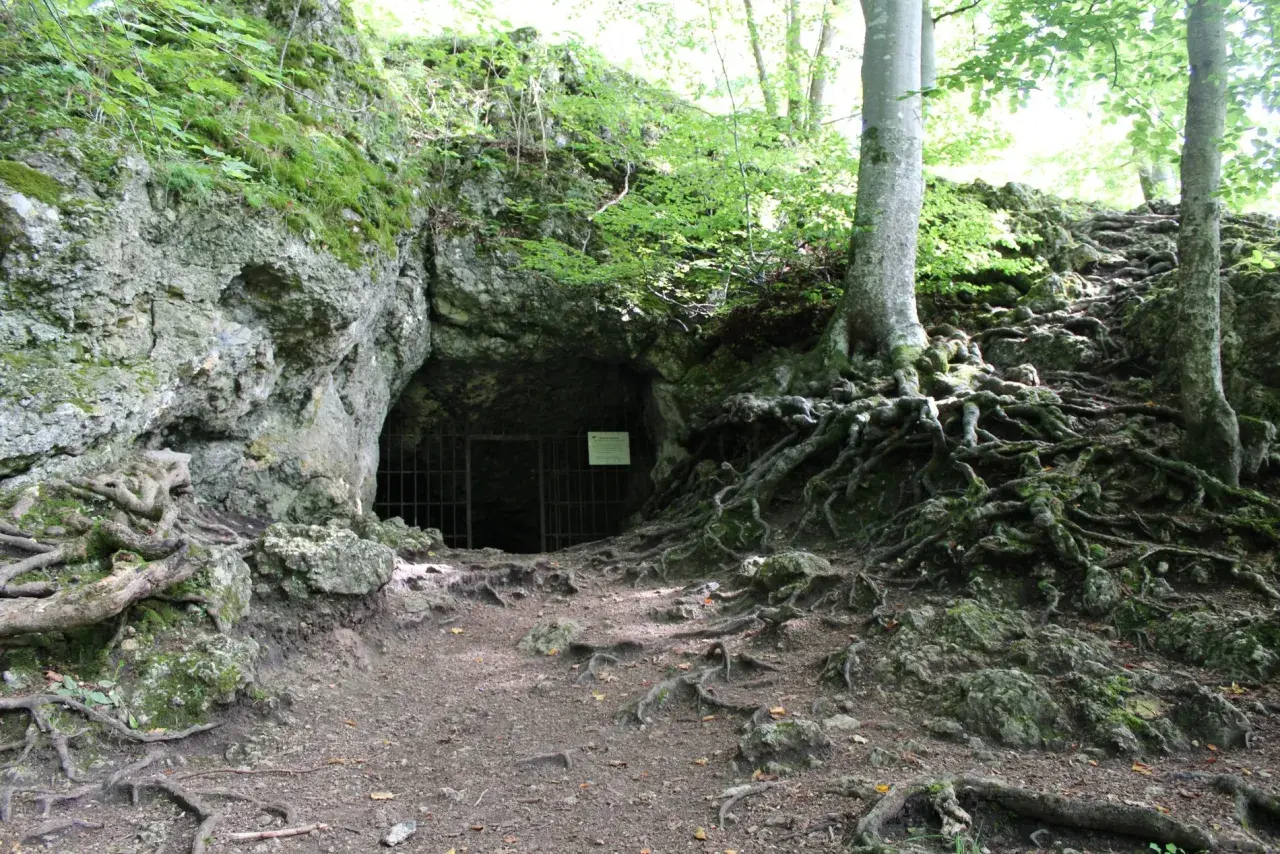 Ein finsteres Loch, eine Höhle mit Gittertor, umgeben von moosbewachsenen Felsen und verschlungenen Baumwurzeln im Wald.