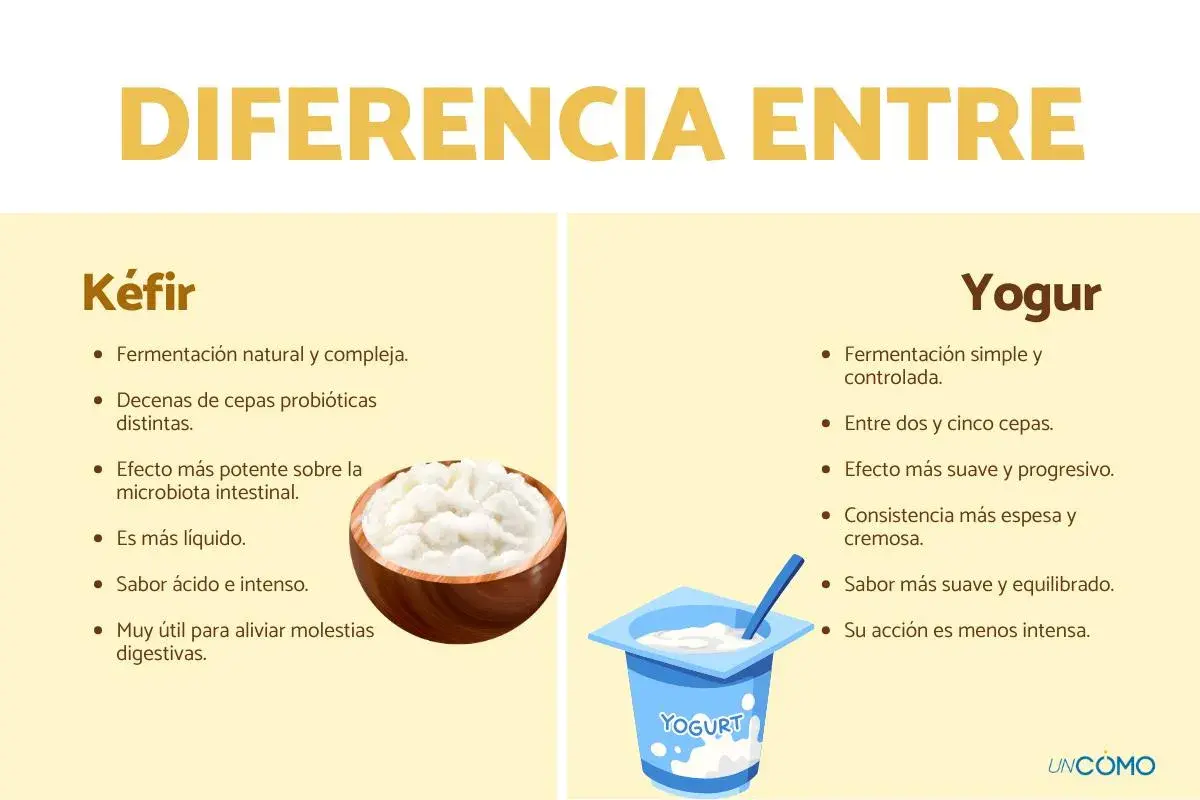 Infografía que detalla la diferencia entre kéfir y yogur, mostrando sus características y beneficios.
