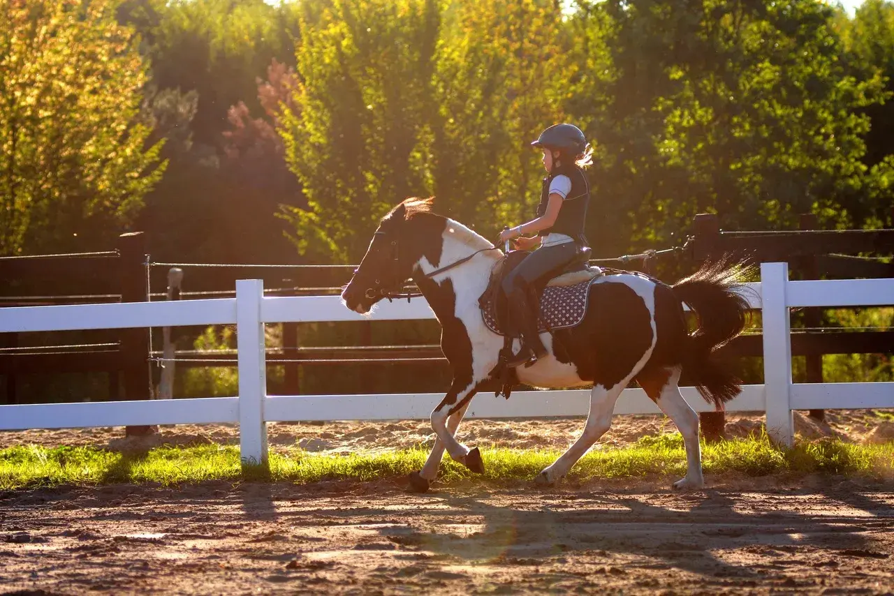 Dziewczynka w kasku galopuje na łaciatym kucyku na terenie pony clubu Radzymin.