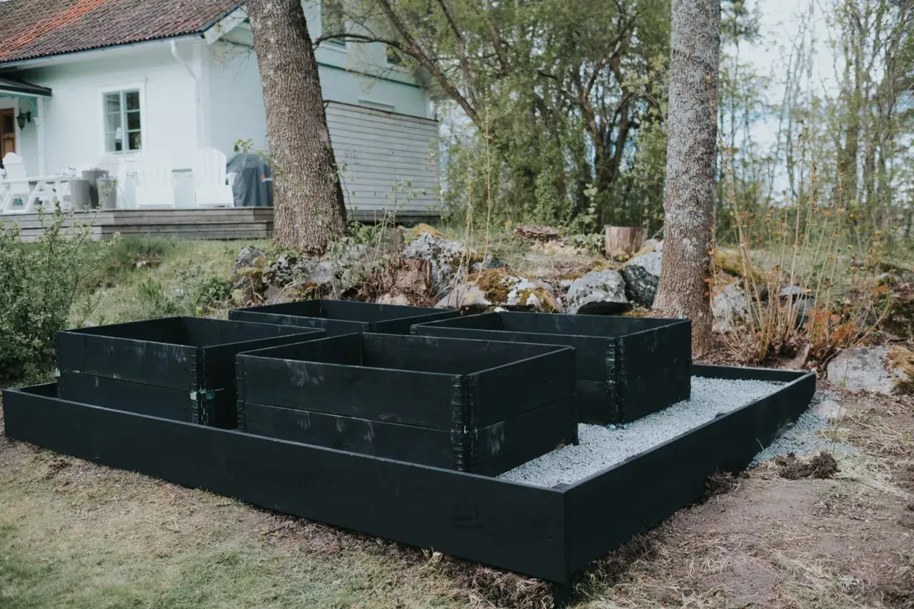 Nymålade pallkragar i svart står redo för plantering i trädgården, med ett vitt hus i bakgrunden.