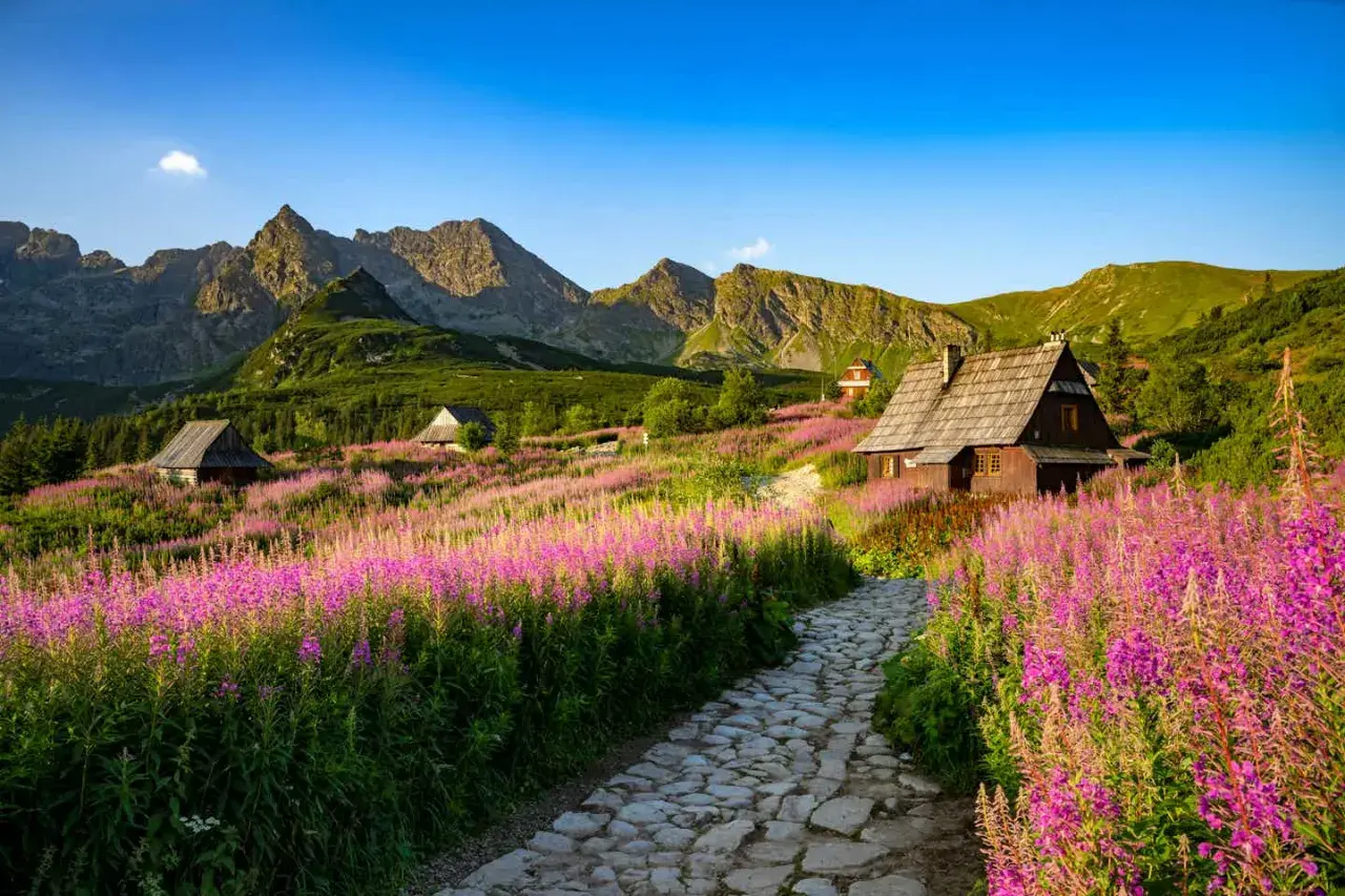 Ein Pfad führt durch blühende Wiesen zu Holzhäusern in den Hohen Tatra Polen. Majestätische Berge im Hintergrund.