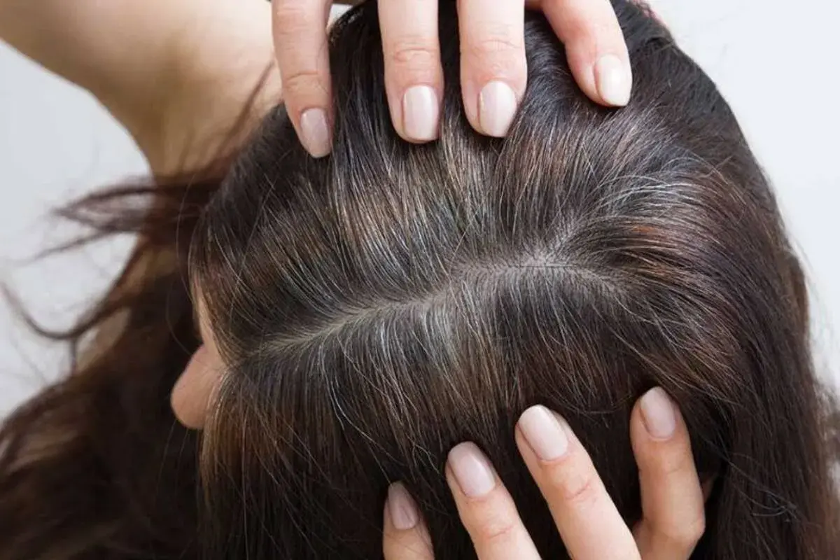 Manos revisan cabello oscuro con hebras grises, como si la leyenda de que si te quitas una cana salen mas fuera cierta.