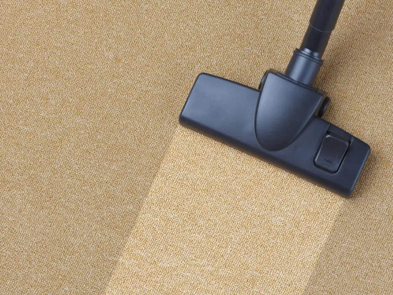 Cabezal de aspiradora limpiando una alfombra beige. Un ejemplo visual de como limpiar una alfombra para dejarla impecable.