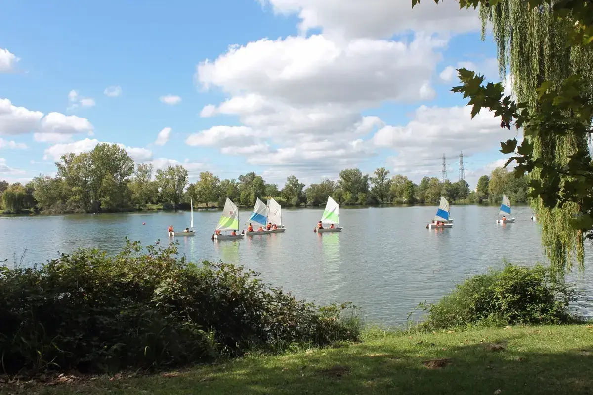 Plusieurs voiliers naviguent sur un lac paisible, un paysage typique du lac autour de Toulouse par une journée ensoleillée.