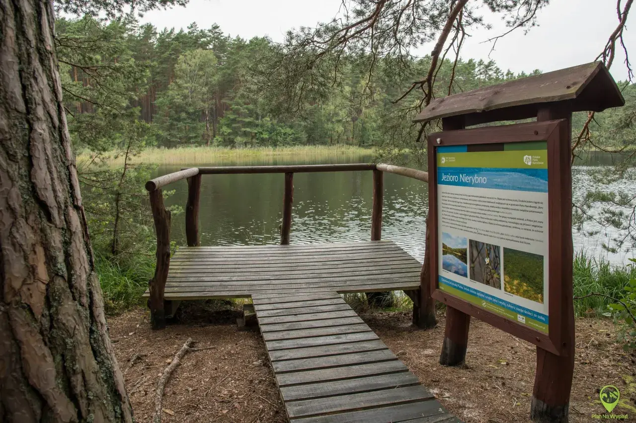 Drewniana platforma widokowa nad jeziorem Nierybno, jedna z atrakcji Borów Tucholskich. Tablica informacyjna opisuje walory przyrodnicze tego miejsca.