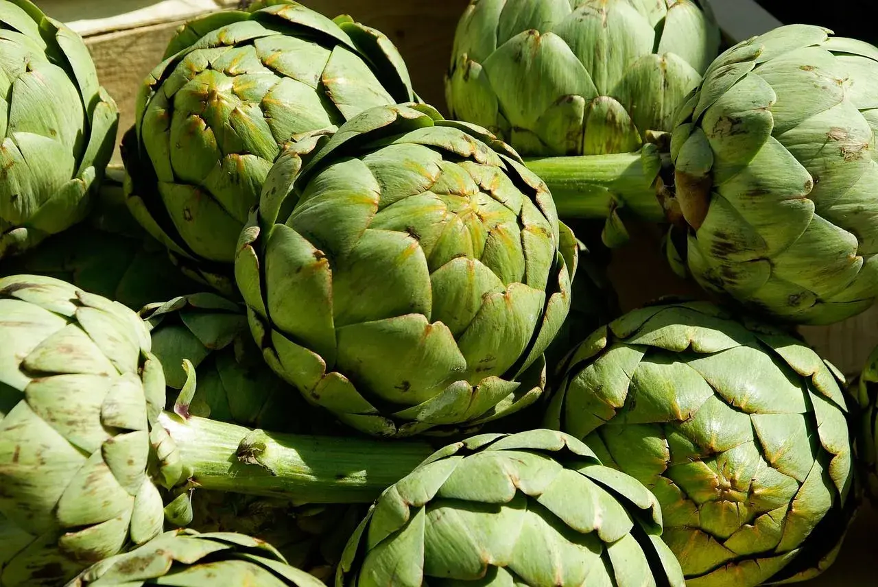 Un montón de alcachofas verdes frescas, listas para ser cocinadas y disfrutar de sus propiedades.