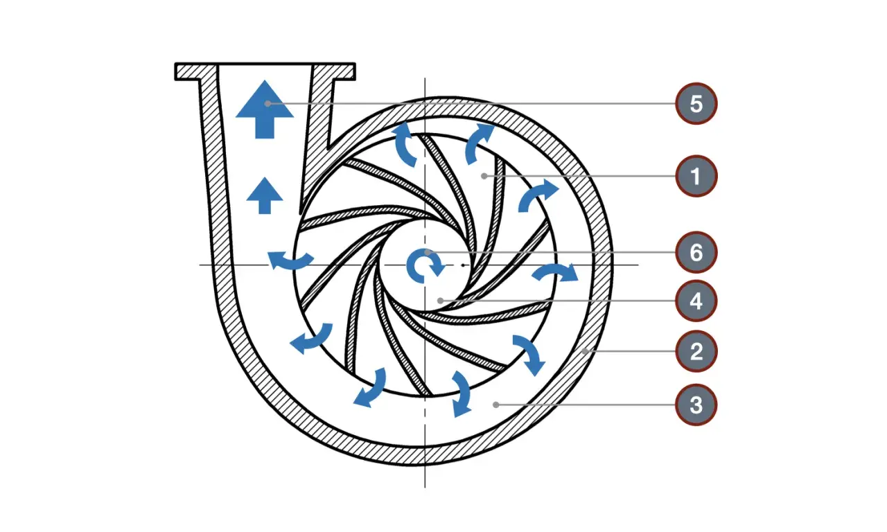 Schemat pompy odśrodkowej z oznaczeniami: 1- wirnik, 2- obudowa, 3- wlot, 4- wylot, 5- kierownica, 6- łopatki wirnika.