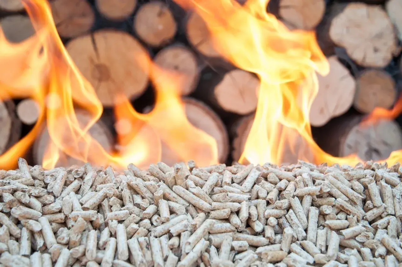 Flammes au-dessus de granulés de bois et de bûches empilées.