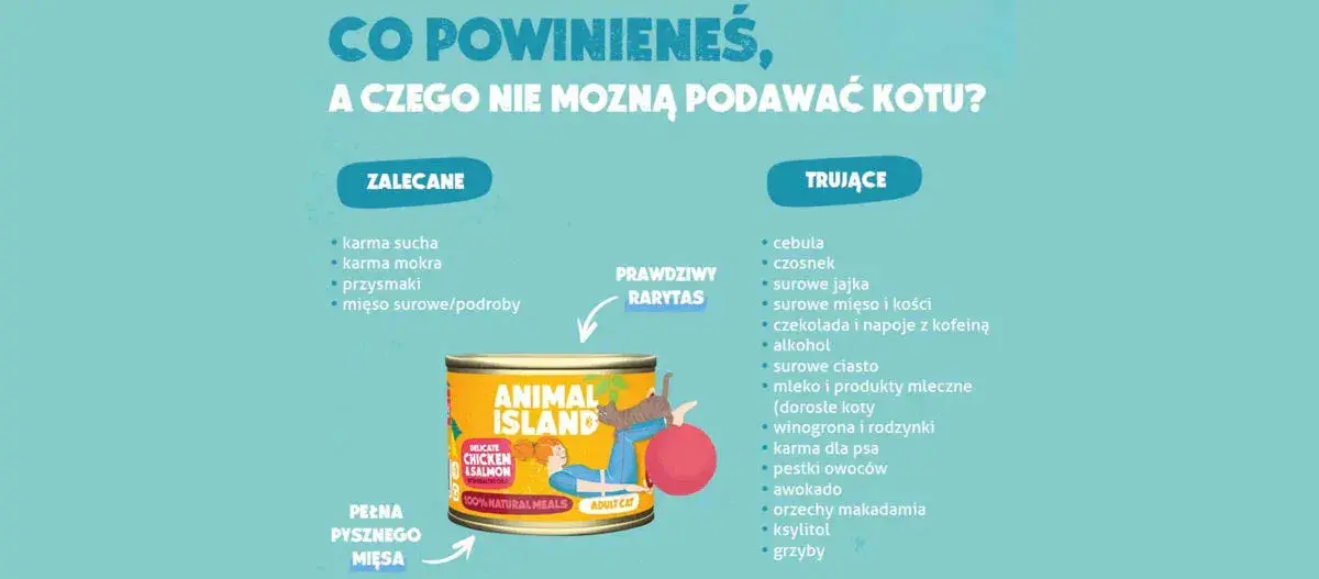 Surowe mięso dla kota: Jak karmić, by było zdrowo i bezpiecznie?