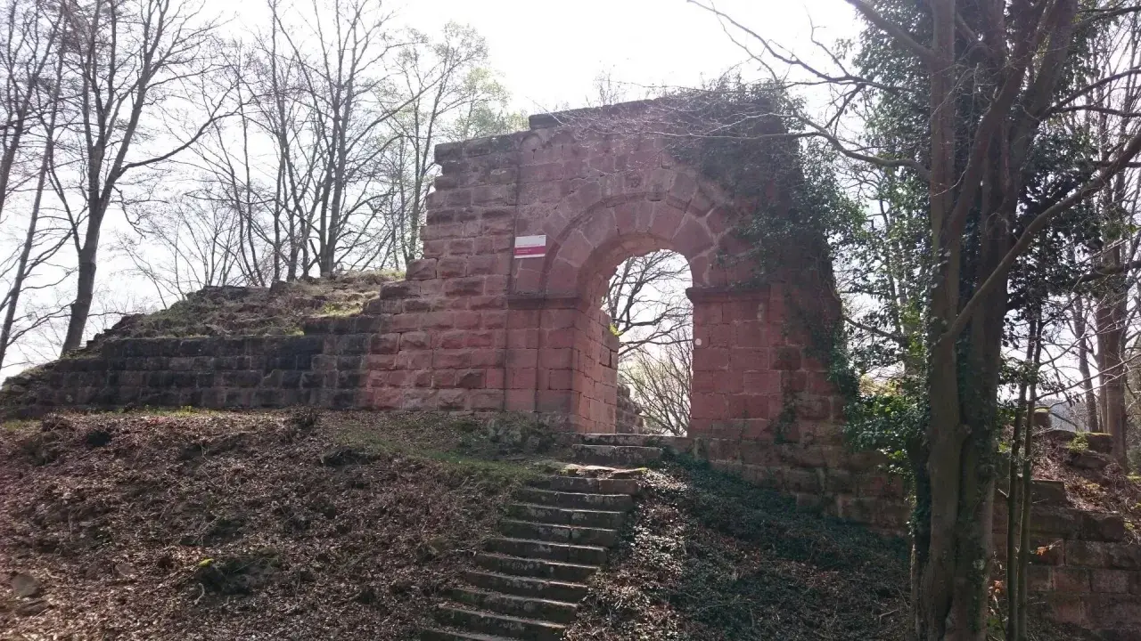 Die Ruinen der Burg Schlosseck mit einem steinernen Torbogen und einer Treppe, umgeben von Bäumen.