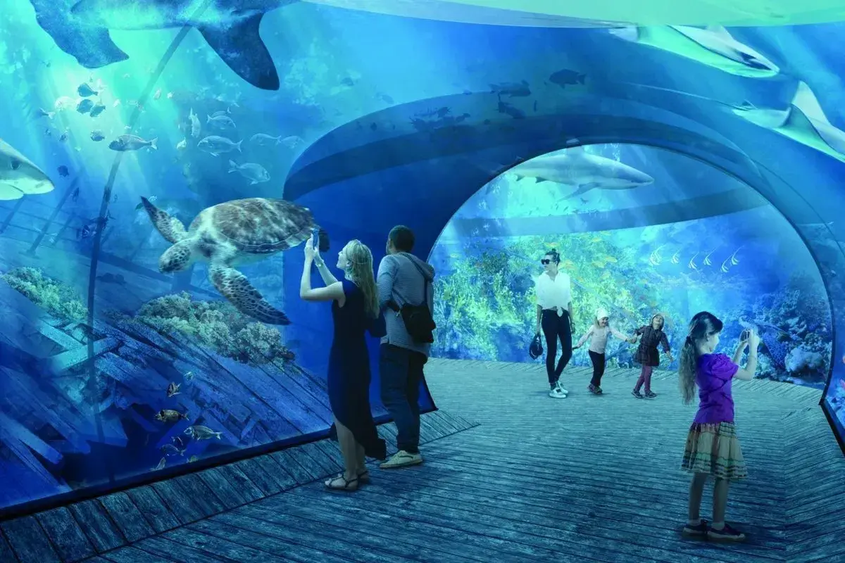 Rodzina podziwia żółwia i rekiny w tunelu podwodnym. Niezapomniane atrakcje w Oceanarium Gdańsk!
