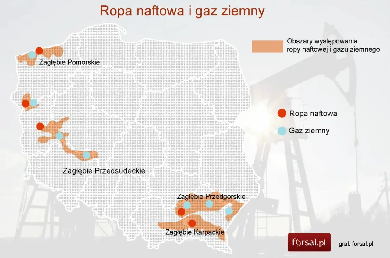 Mapa Polski z zaznaczonymi obszarami występowania ropy naftowej i gazu ziemnego. Widać zagłębia: Pomorskie, Przedsudeckie, Przedgórskie i Karpackie.